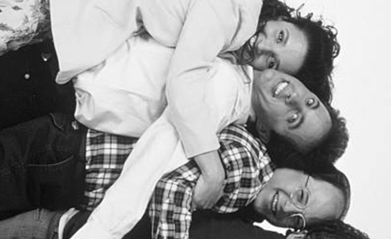 Seinfeld: A Show About Nothing